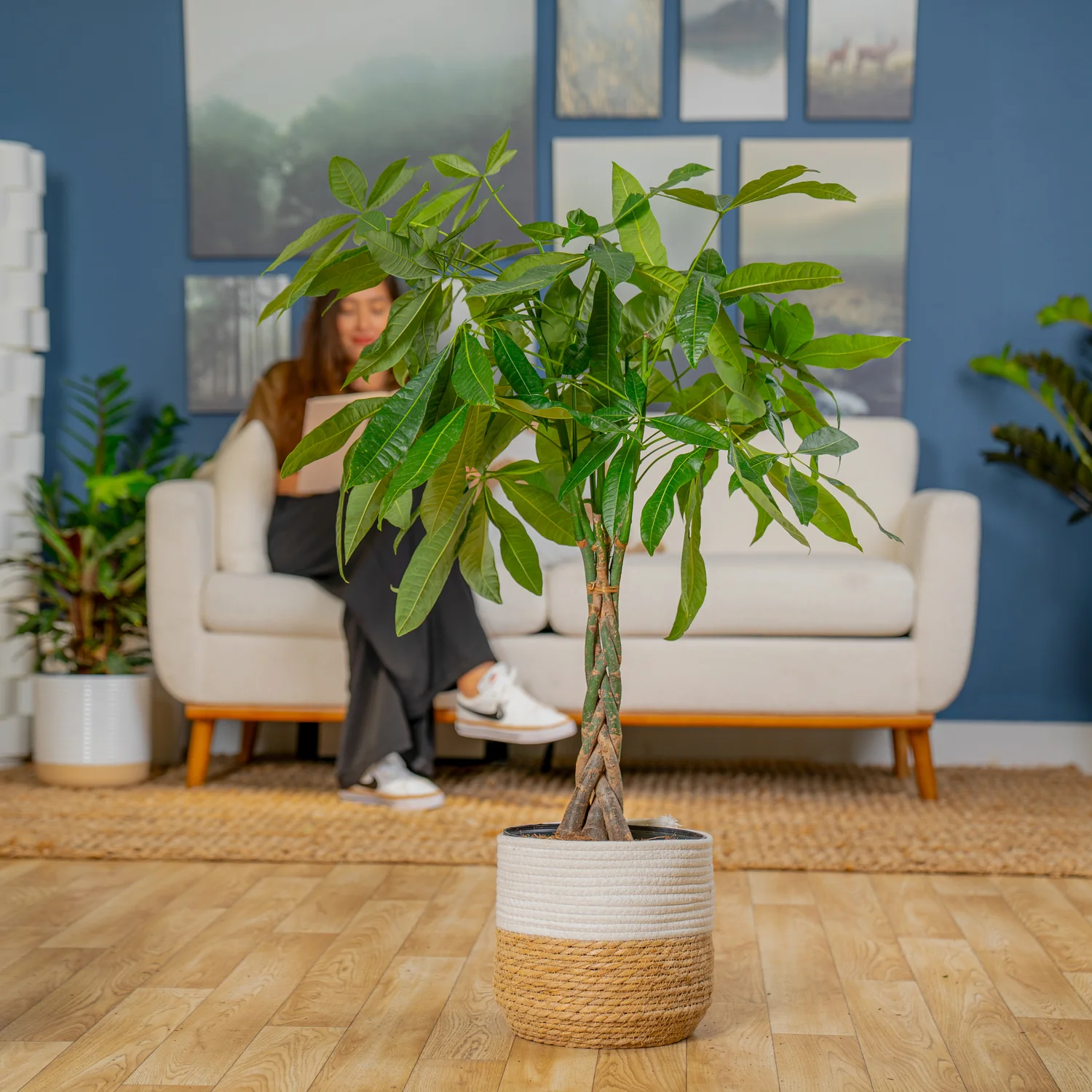 Money Tree | large - Image 4