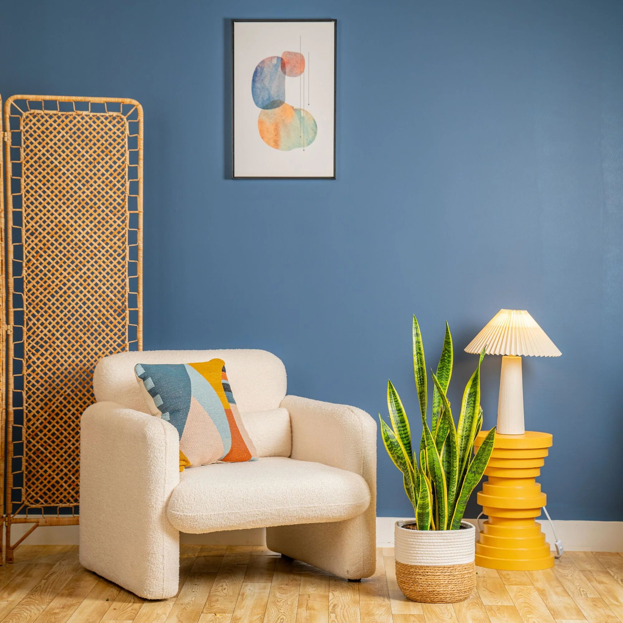 Snake Plant | large - Image 5