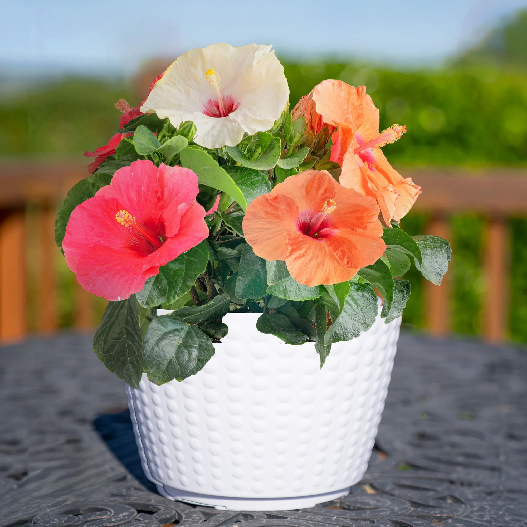 Tropical Hibiscus Bouquet | medium - Image 4