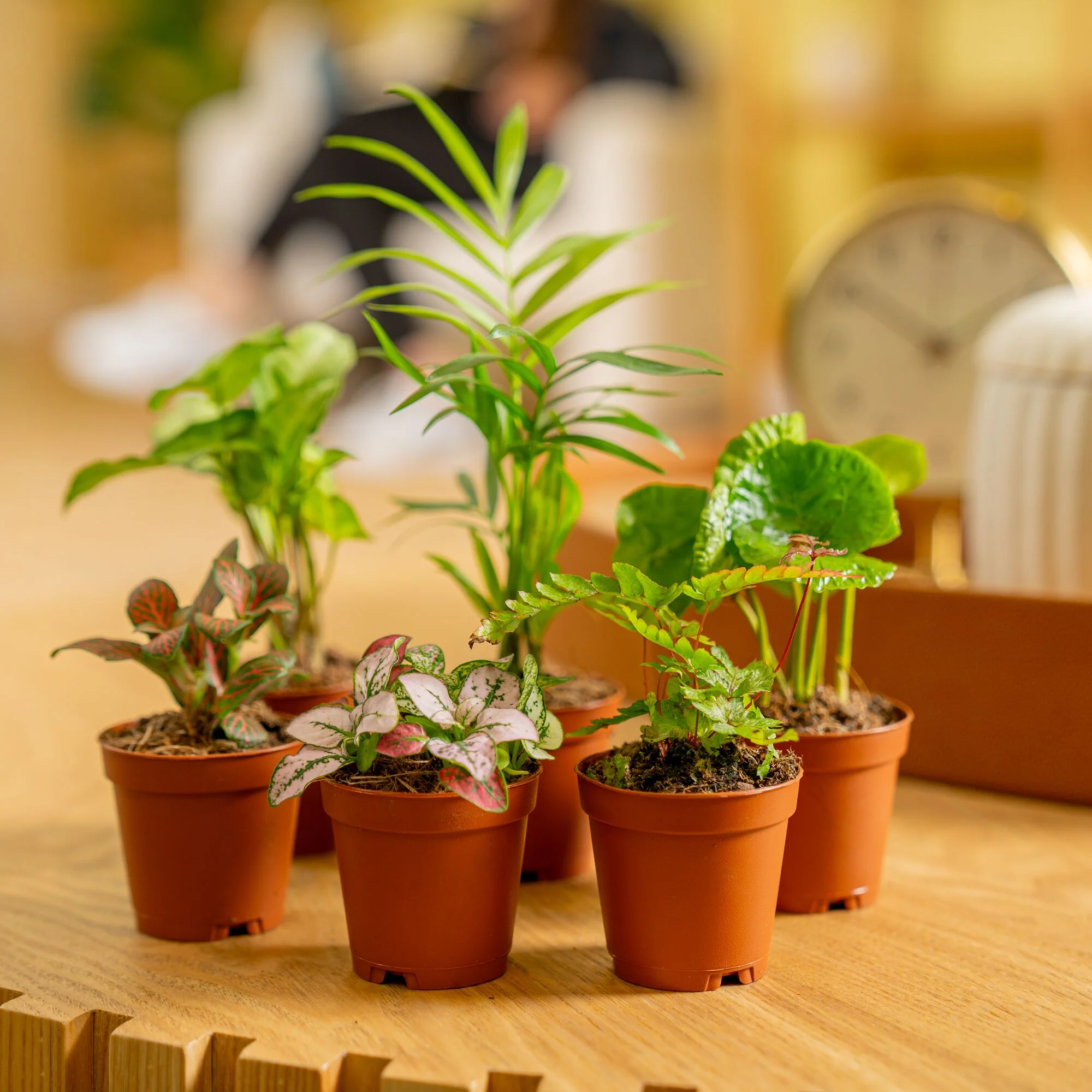 Assorted Foliage | teacup - Image 3