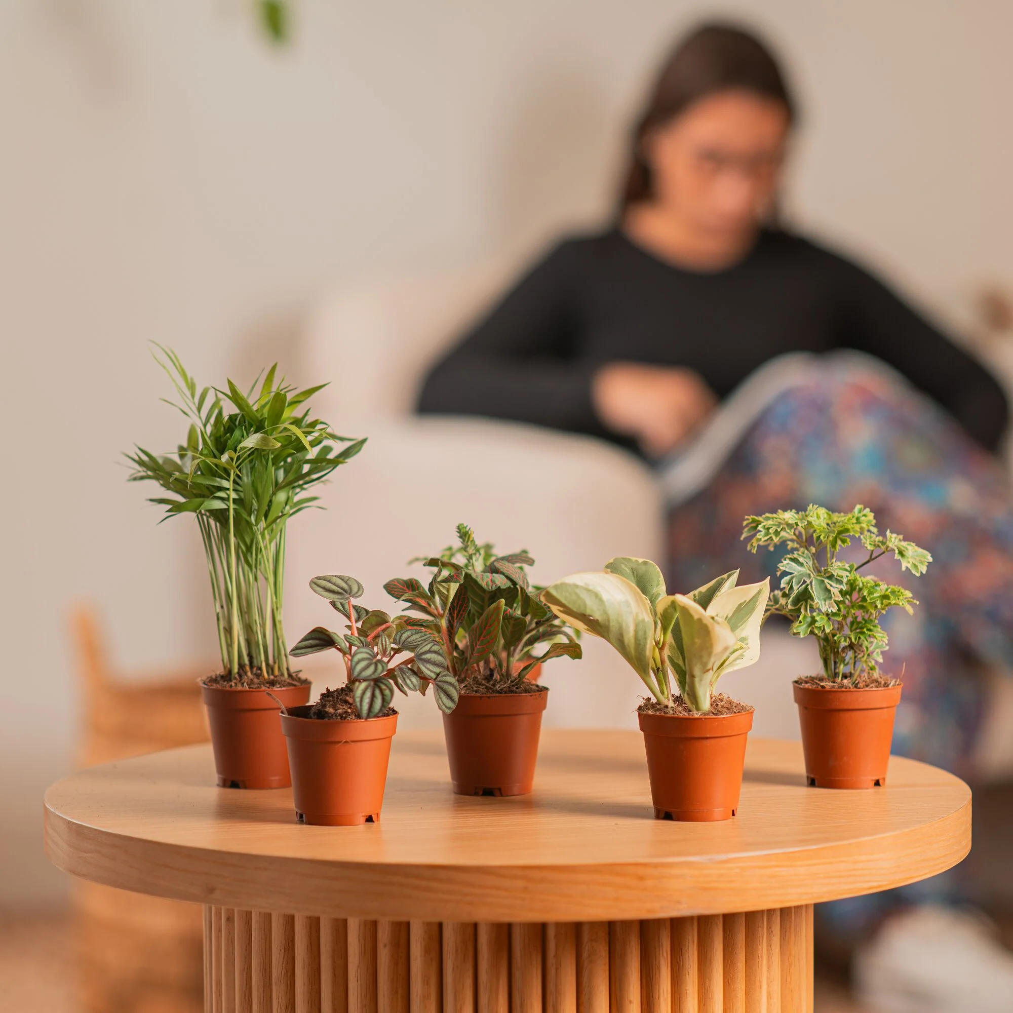 Assorted Foliage | teacup - Image 5